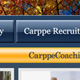 CarppeGroup Website